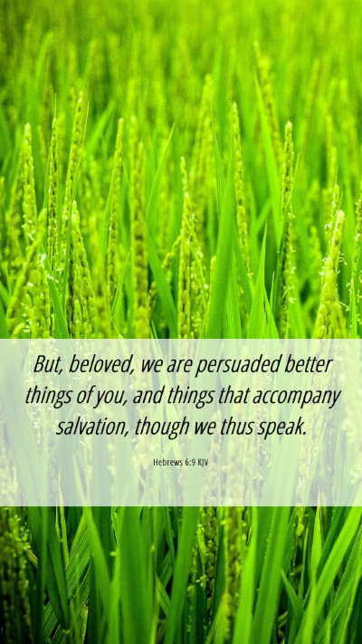 Picture 06 - Hebrews 6:9 KJV Mobile Phone Wallpaper - But, beloved, we are persuaded better things of - Mobile Bible Verse Wallpaper