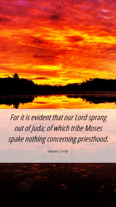 Picture 06 - Hebrews 7:14 KJV Mobile Phone Wallpaper - For it is evident that our Lord sprang out of - Mobile Bible Verse Wallpaper