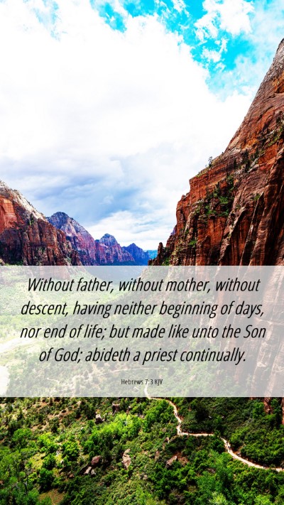 Picture 06 - Hebrews 7:3 KJV Mobile Phone Wallpaper - Without father, without mother, without descent, - Mobile Bible Verse Wallpaper