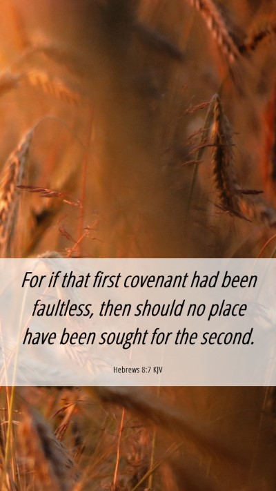 Picture 06 - Hebrews 8:7 KJV Mobile Phone Wallpaper - For if that first covenant had been faultless, - Mobile Bible Verse Wallpaper