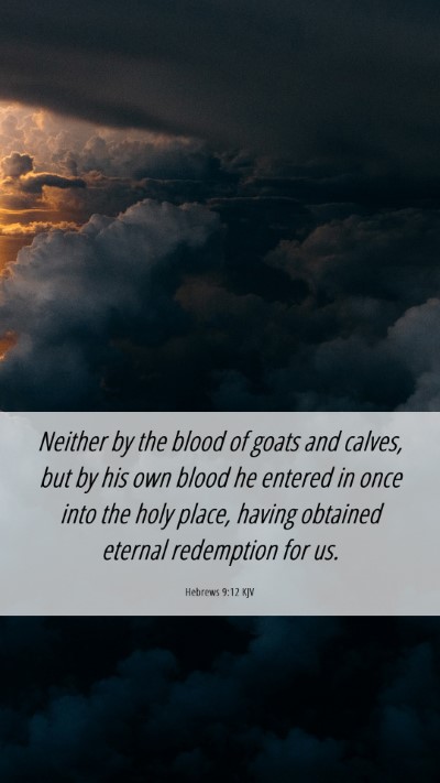 Picture 06 - Hebrews 9:12 KJV Mobile Phone Wallpaper - Neither by the blood of goats and calves, but by - Mobile Bible Verse Wallpaper