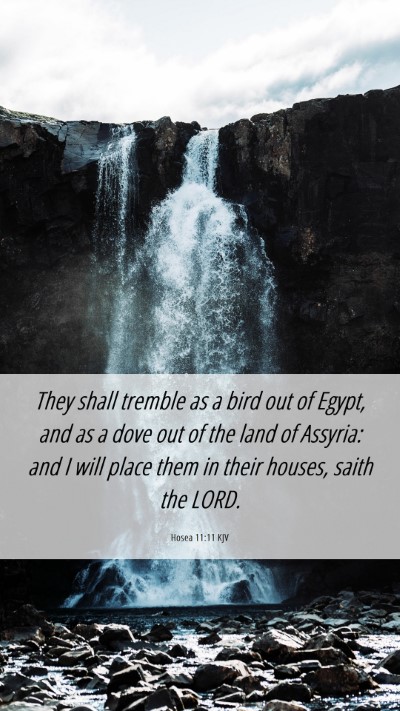 Picture 06 - Hosea 11:11 KJV Mobile Phone Wallpaper - They shall tremble as a bird out of Egypt, and as - Mobile Bible Verse Wallpaper