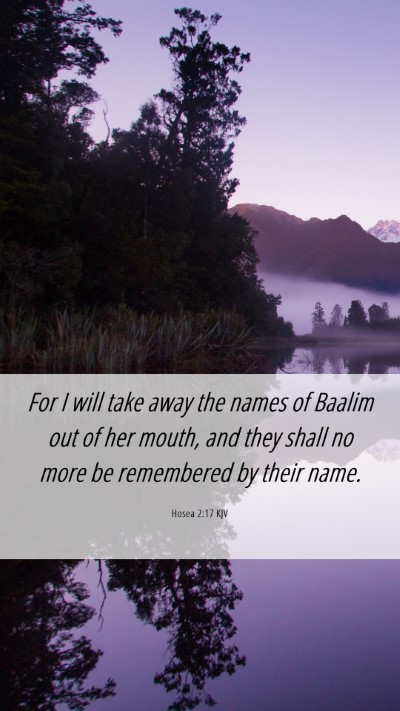 Picture 06 - Hosea 2:17 KJV Mobile Phone Wallpaper - For I will take away the names of Baalim out of - Mobile Bible Verse Wallpaper