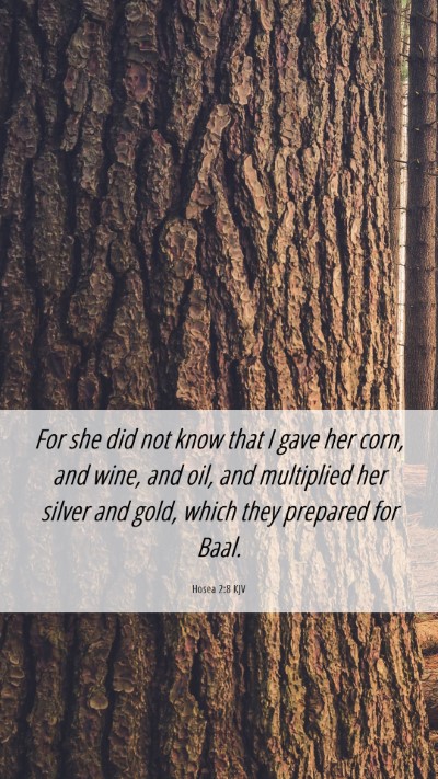 Picture 06 - Hosea 2:8 KJV Mobile Phone Wallpaper - For she did not know that I gave her corn, and - Mobile Bible Verse Wallpaper