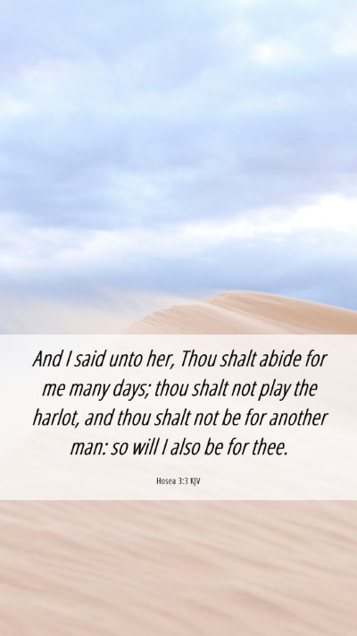 Picture 06 - Hosea 3:3 KJV Mobile Phone Wallpaper - And I said unto her, Thou shalt abide for me many - Mobile Bible Verse Wallpaper