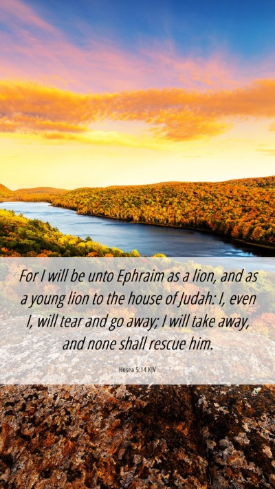 Picture 06 - Hosea 5:14 KJV Mobile Phone Wallpaper - For I will be unto Ephraim as a lion, and as a - Mobile Bible Verse Wallpaper