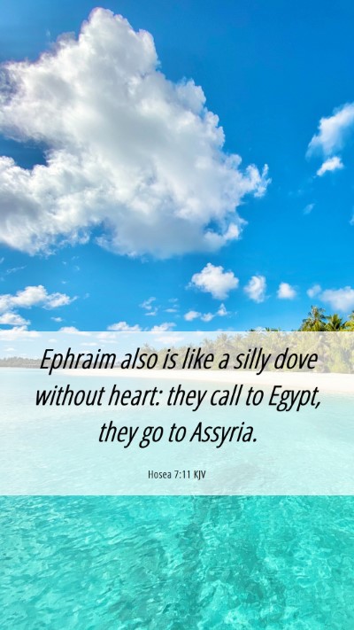 Picture 06 - Hosea 7:11 KJV Mobile Phone Wallpaper - Ephraim also is like a silly dove without heart: - Mobile Bible Verse Wallpaper