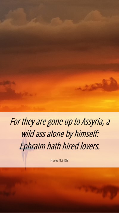 Picture 06 - Hosea 8:9 KJV Mobile Phone Wallpaper - For they are gone up to Assyria, a wild ass alone - Mobile Bible Verse Wallpaper