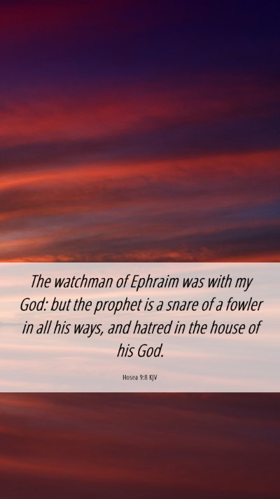 Picture 06 - Hosea 9:8 KJV Mobile Phone Wallpaper - The watchman of Ephraim was with my God: but the - Mobile Bible Verse Wallpaper