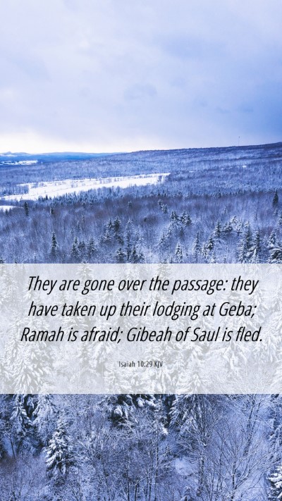 Picture 06 - Isaiah 10:29 KJV Mobile Phone Wallpaper - They are gone over the passage: they have taken - Mobile Bible Verse Wallpaper