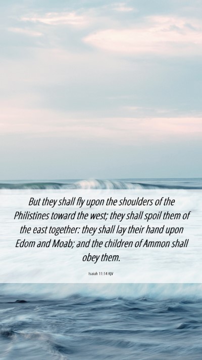 Picture 06 - Isaiah 11:14 KJV Mobile Phone Wallpaper - But they shall fly upon the shoulders of the - Mobile Bible Verse Wallpaper
