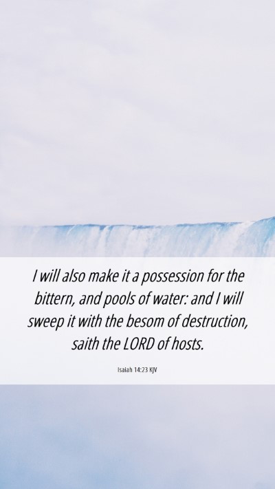 Picture 06 - Isaiah 14:23 KJV Mobile Phone Wallpaper - I will also make it a possession for the bittern, - Mobile Bible Verse Wallpaper