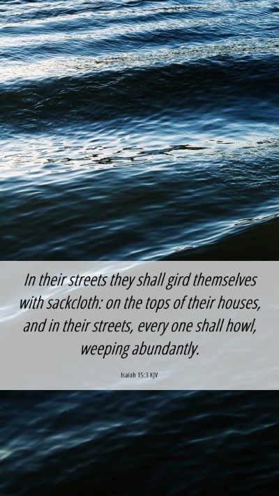 Picture 06 - Isaiah 15:3 KJV Mobile Phone Wallpaper - In their streets they shall gird themselves with - Mobile Bible Verse Wallpaper