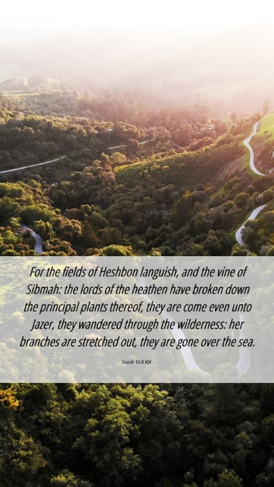 Picture 06 - Isaiah 16:8 KJV Mobile Phone Wallpaper - For the fields of Heshbon languish, and the vine - Mobile Bible Verse Wallpaper