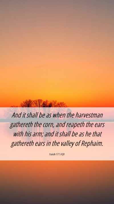 Picture 06 - Isaiah 17:5 KJV Mobile Phone Wallpaper - And it shall be as when the harvestman gathereth - Mobile Bible Verse Wallpaper