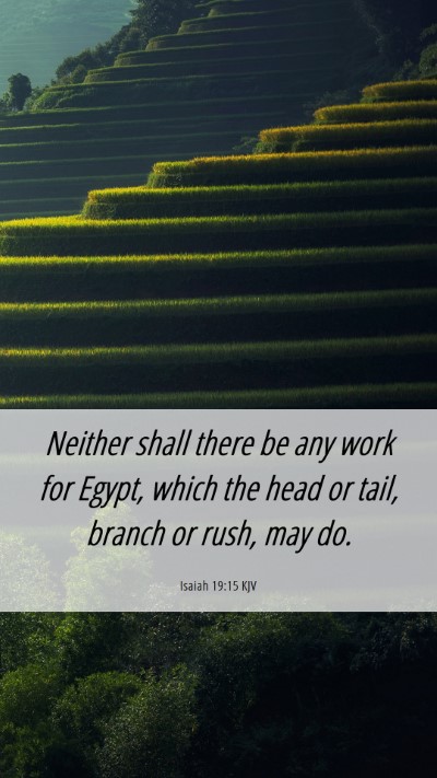 Picture 06 - Isaiah 19:15 KJV Mobile Phone Wallpaper - Neither shall there be any work for Egypt, which - Mobile Bible Verse Wallpaper