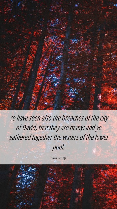 Picture 06 - Isaiah 22:9 KJV Mobile Phone Wallpaper - Ye have seen also the breaches of the city of - Mobile Bible Verse Wallpaper