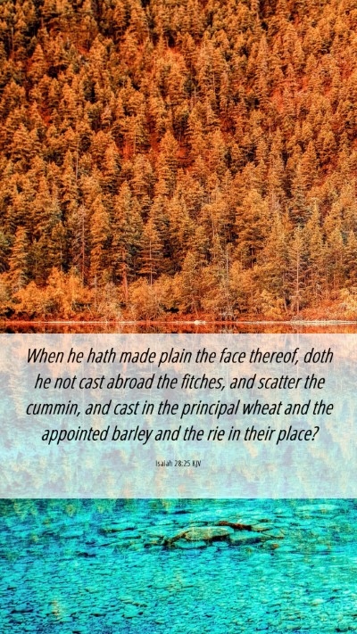 Picture 06 - Isaiah 28:25 KJV Mobile Phone Wallpaper - When he hath made plain the face thereof, doth he - Mobile Bible Verse Wallpaper