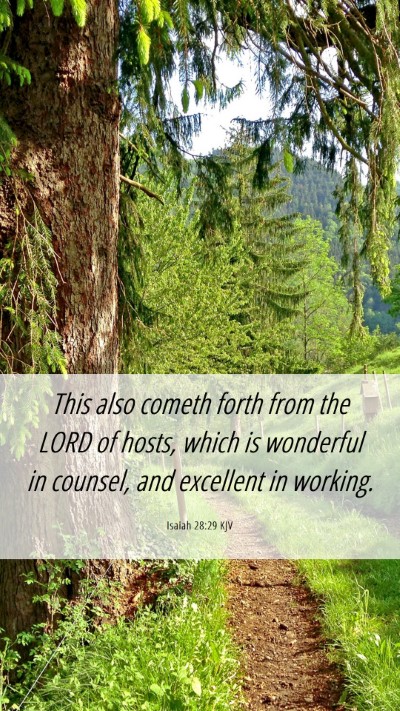 Picture 06 - Isaiah 28:29 KJV Mobile Phone Wallpaper - This also cometh forth from the LORD of hosts, - Mobile Bible Verse Wallpaper