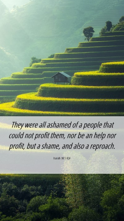 Picture 06 - Isaiah 30:5 KJV Mobile Phone Wallpaper - They were all ashamed of a people that could not - Mobile Bible Verse Wallpaper