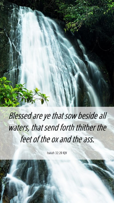 Picture 06 - Isaiah 32:20 KJV Mobile Phone Wallpaper - Blessed are ye that sow beside all waters, that - Mobile Bible Verse Wallpaper