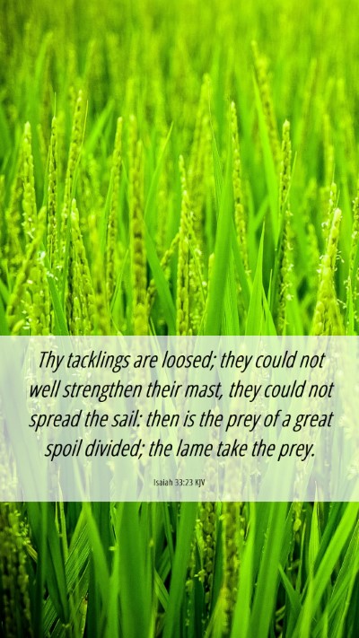 Picture 06 - Isaiah 33:23 KJV Mobile Phone Wallpaper - Thy tacklings are loosed; they could not well - Mobile Bible Verse Wallpaper