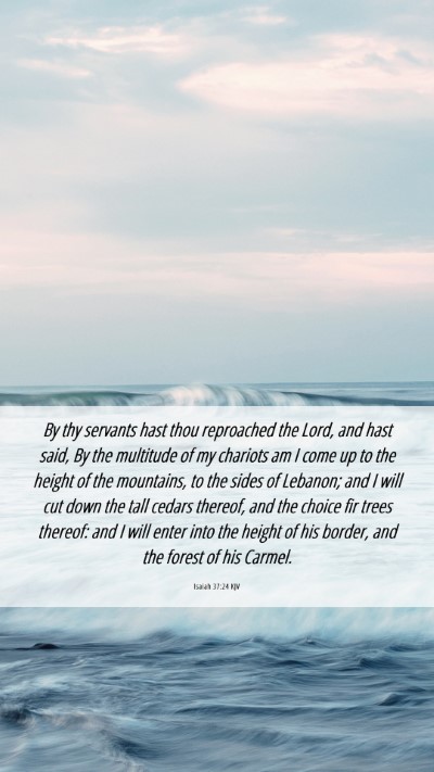 Picture 06 - Isaiah 37:24 KJV Mobile Phone Wallpaper - By thy servants hast thou reproached the Lord, - Mobile Bible Verse Wallpaper