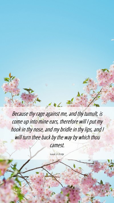Picture 06 - Isaiah 37:29 KJV Mobile Phone Wallpaper - Because thy rage against me, and thy tumult, is - Mobile Bible Verse Wallpaper