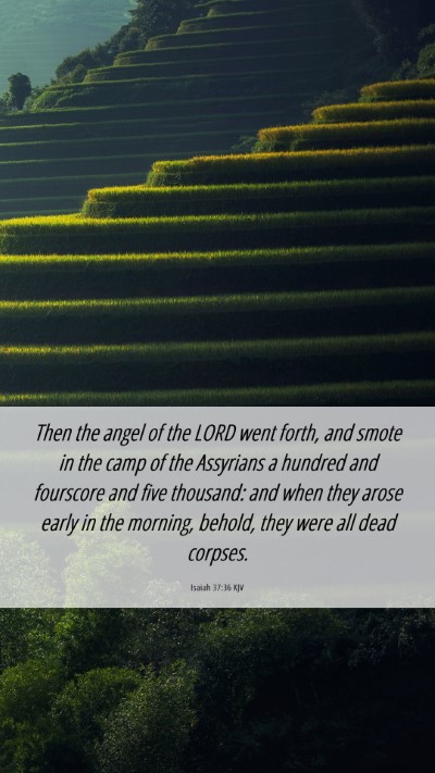 Picture 06 - Isaiah 37:36 KJV Mobile Phone Wallpaper - Then the angel of the LORD went forth, and smote - Mobile Bible Verse Wallpaper