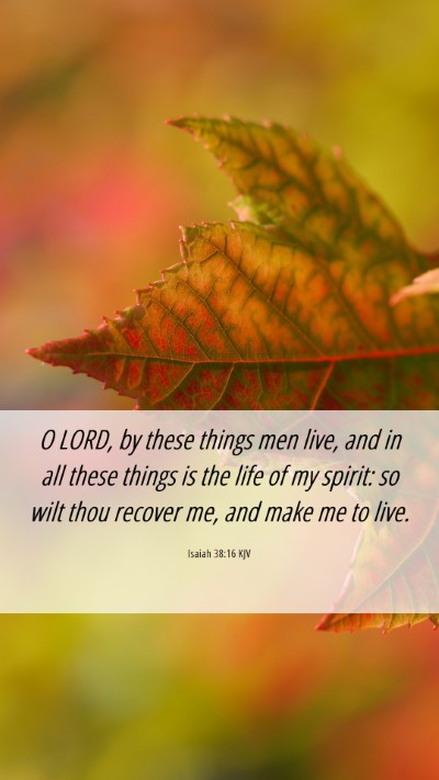 Picture 06 - Isaiah 38:16 KJV Mobile Phone Wallpaper - O LORD, by these things men live, and in all - Mobile Bible Verse Wallpaper
