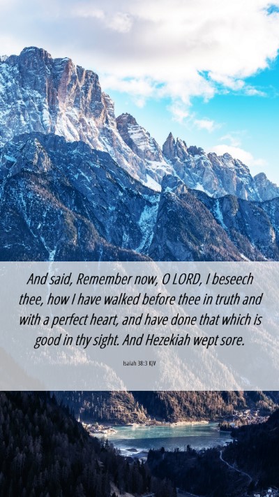 Picture 06 - Isaiah 38:3 KJV Mobile Phone Wallpaper - And said, Remember now, O LORD, I beseech thee, - Mobile Bible Verse Wallpaper