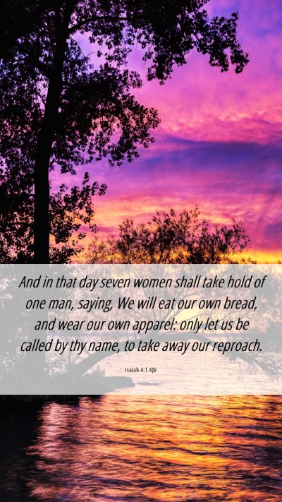 Picture 06 - Isaiah 4:1 KJV Mobile Phone Wallpaper - And in that day seven women shall take hold of - Mobile Bible Verse Wallpaper