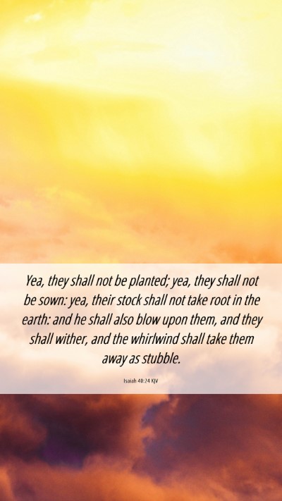 Picture 06 - Isaiah 40:24 KJV Mobile Phone Wallpaper - Yea, they shall not be planted; yea, they shall - Mobile Bible Verse Wallpaper