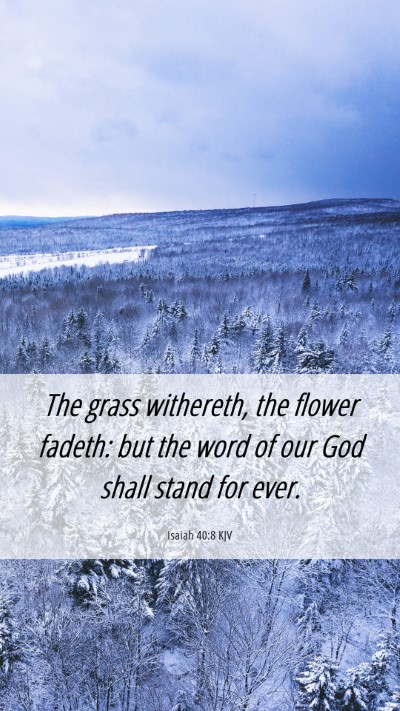 Picture 06 - Isaiah 40:8 KJV Mobile Phone Wallpaper - The grass withereth, the flower fadeth: but the - Mobile Bible Verse Wallpaper