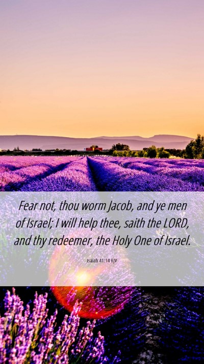 Picture 06 - Isaiah 41:14 KJV Mobile Phone Wallpaper - Fear not, thou worm Jacob, and ye men of Israel; - Mobile Bible Verse Wallpaper