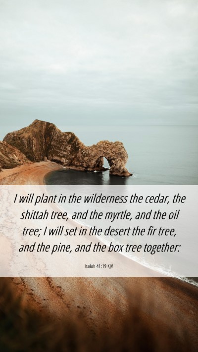 Picture 06 - Isaiah 41:19 KJV Mobile Phone Wallpaper - I will plant in the wilderness the cedar, the - Mobile Bible Verse Wallpaper