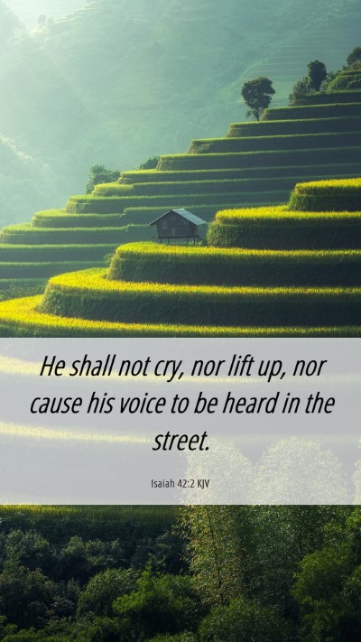 Picture 06 - Isaiah 42:2 KJV Mobile Phone Wallpaper - He shall not cry, nor lift up, nor cause his - Mobile Bible Verse Wallpaper