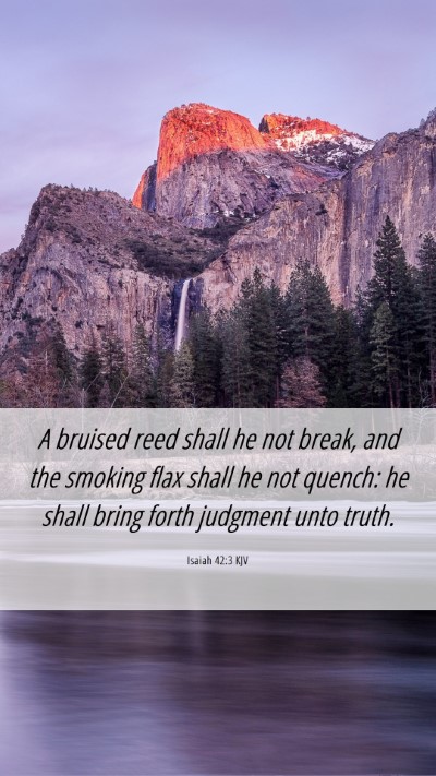Picture 06 - Isaiah 42:3 KJV Mobile Phone Wallpaper - A bruised reed shall he not break, and the - Mobile Bible Verse Wallpaper