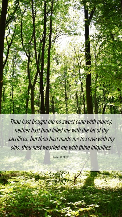 Picture 06 - Isaiah 43:24 KJV Mobile Phone Wallpaper - Thou hast bought me no sweet cane with money, - Mobile Bible Verse Wallpaper