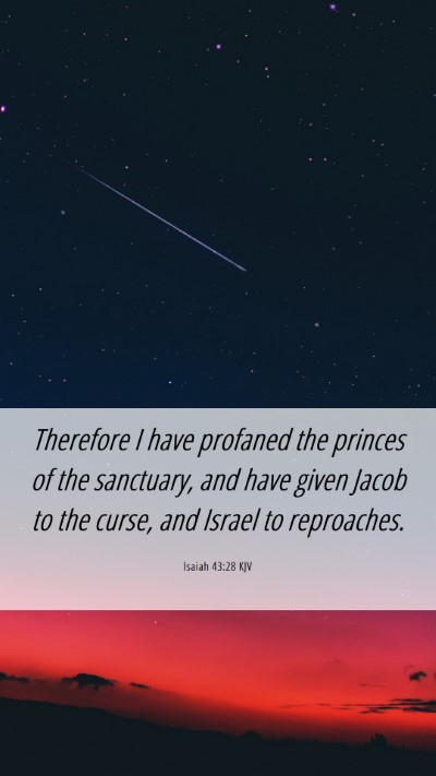 Picture 06 - Isaiah 43:28 KJV Mobile Phone Wallpaper - Therefore I have profaned the princes of the - Mobile Bible Verse Wallpaper