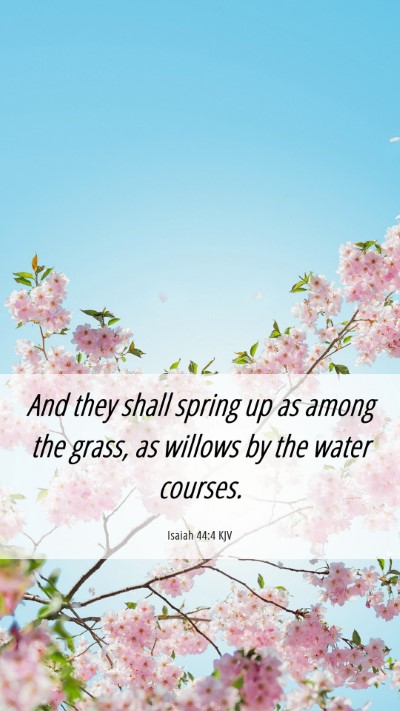 Picture 06 - Isaiah 44:4 KJV Mobile Phone Wallpaper - And they shall spring up as among the grass, as - Mobile Bible Verse Wallpaper