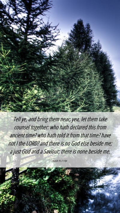 Picture 06 - Isaiah 45:21 KJV Mobile Phone Wallpaper - Tell ye, and bring them near; yea, let them take - Mobile Bible Verse Wallpaper