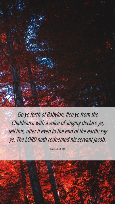 Picture 06 - Isaiah 48:20 KJV Mobile Phone Wallpaper - Go ye forth of Babylon, flee ye from the - Mobile Bible Verse Wallpaper