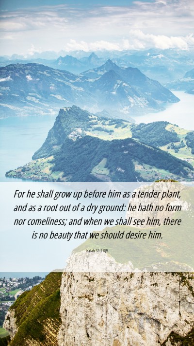 Picture 06 - Isaiah 53:2 KJV Mobile Phone Wallpaper - For he shall grow up before him as a tender - Mobile Bible Verse Wallpaper