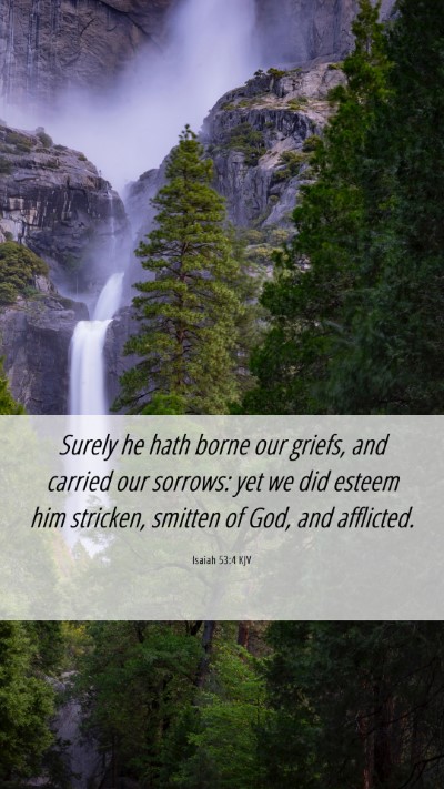 Picture 06 - Isaiah 53:4 KJV Mobile Phone Wallpaper - Surely he hath borne our griefs, and carried our - Mobile Bible Verse Wallpaper