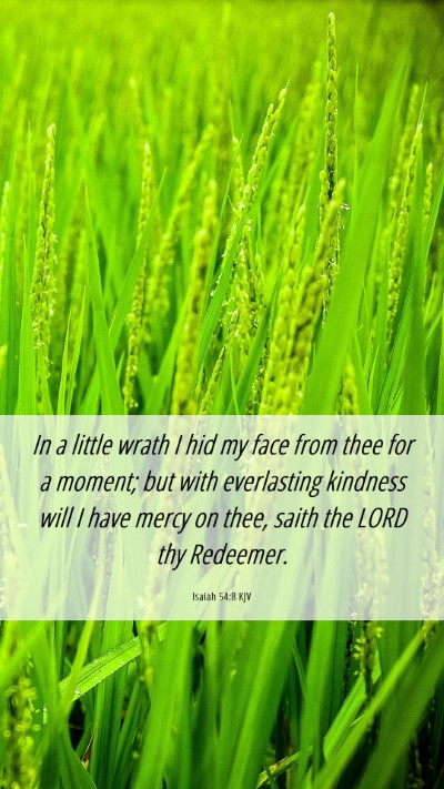 Picture 06 - Isaiah 54:8 KJV Mobile Phone Wallpaper - In a little wrath I hid my face from thee for a - Mobile Bible Verse Wallpaper