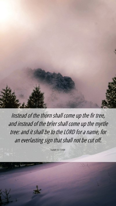 Picture 06 - Isaiah 55:13 KJV Mobile Phone Wallpaper - Instead of the thorn shall come up the fir tree, - Mobile Bible Verse Wallpaper