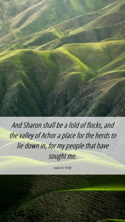 Picture 06 - Isaiah 65:10 KJV Mobile Phone Wallpaper - And Sharon shall be a fold of flocks, and the - Mobile Bible Verse Wallpaper