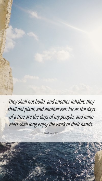 Picture 06 - Isaiah 65:22 KJV Mobile Phone Wallpaper - They shall not build, and another inhabit; they - Mobile Bible Verse Wallpaper
