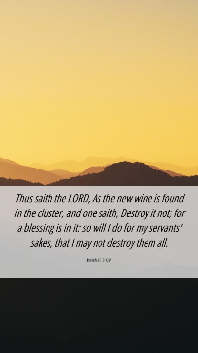 Picture 06 - Isaiah 65:8 KJV Mobile Phone Wallpaper - Thus saith the LORD, As the new wine is found in - Mobile Bible Verse Wallpaper